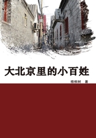 大北京里的小百姓在線閱讀