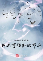 神也有命運(yùn)在線閱讀