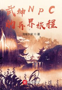 NPC穿越了