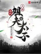 大唐：我的姐夫是太子在線閱讀
