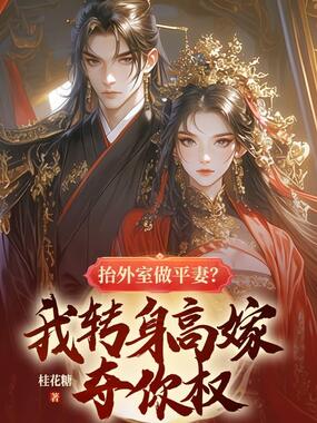 抬外室做平妻?我转身高嫁夺你权在线阅读