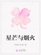 星芒与烟火在线阅读