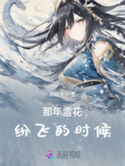 那年雪花纷飞的时候在线阅读