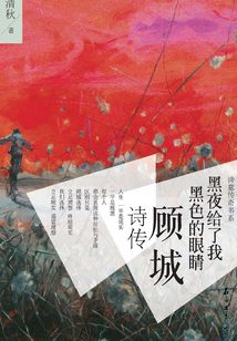 黑夜給了我黑色的眼睛：顧城詩傳