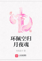 环佩空归月夜魂在线阅读