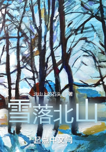 雪落北山
