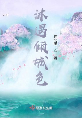 沐遇倾城色在线阅读