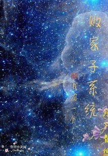 我有一個敗家子系統(tǒng)