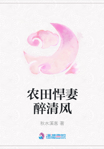 農田悍妻醉清風