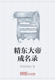 精东大帝成名录