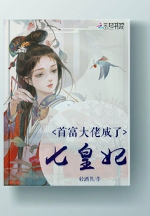 首富大佬成了七皇妃