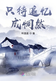 只待追憶成惘然