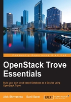 OpenStack Trove Essentials在线阅读