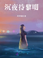 沉夜待黎明在线阅读