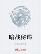 暗战秘谍在线阅读