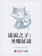 凌霜之子:圣魔征途在线阅读