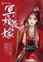 纸嫁惊情在线阅读