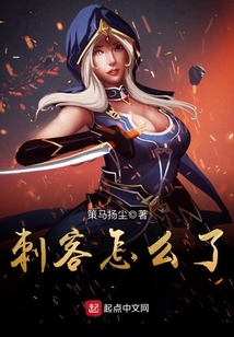刺客怎么了