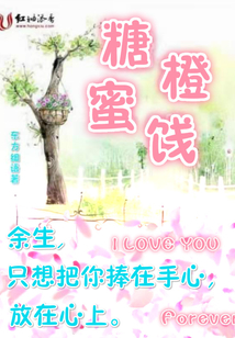 糖橙蜜餞