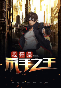 我哥是杀手之王
