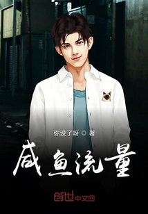咸鱼流量