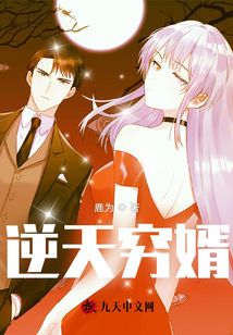 逆天窮婿