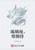 琉璃夜,寒彻骨在线阅读