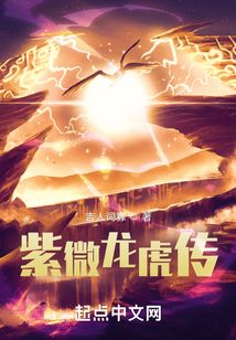 紫微龍虎傳
