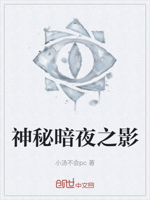 神秘暗夜之影