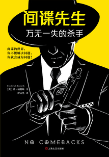 间谍先生:万无一失的杀手