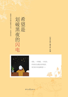青春文学精品集萃丛书·希望系列:希望是划破黑夜的闪电在线阅读