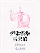 烬染霜华雪未消在线阅读