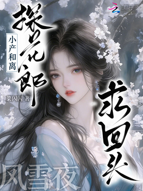 小产和离,探花郎风雪夜求回头在线阅读