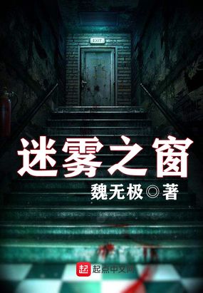 迷雾之窗在线阅读