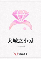 大城之小愛在線閱讀