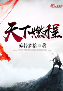天下燃程