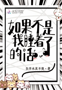 If I Hadn't Fallen Asleep