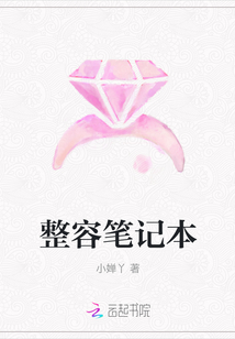 整容筆記本