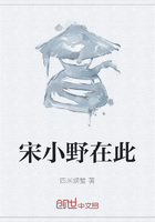 宋小野在此在线阅读