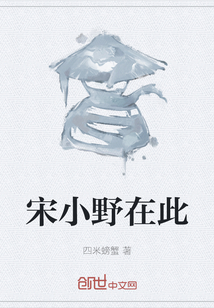 宋小野在此