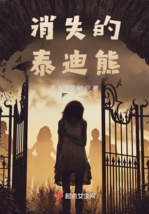 消失的泰迪熊