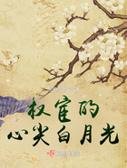 權(quán)宦的心尖白月光在線閱讀