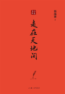 走在天地间(行走文丛)