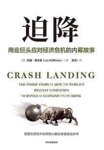 迫降:商業巨頭應對經濟危機的內幕故事