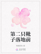 第二只靴子落地前在线阅读