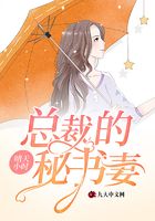 總裁的秘書妻在線閱讀