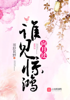 誰見驚鴻向月還在線閱讀
