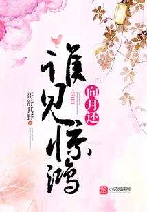 誰見驚鴻向月還
