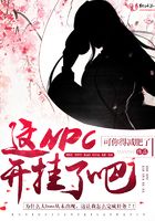這npc開掛了吧在線閱讀