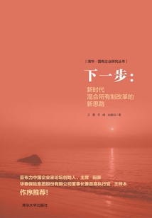 混改下一步:新時(shí)代混合所有制改革的新思路